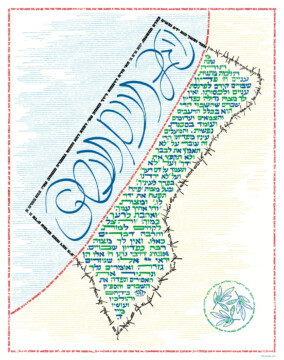 A map of Gaza made up of various styles of Hebrew text. Around the border of the piece is the English translation of the Hebrew. On the bottom right is my signature, in the form of olive branches. The text is in blue, green, red, and black.