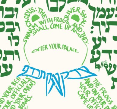 Detail of Tzefardea Tzedek showing the face of the frog and its bandana.